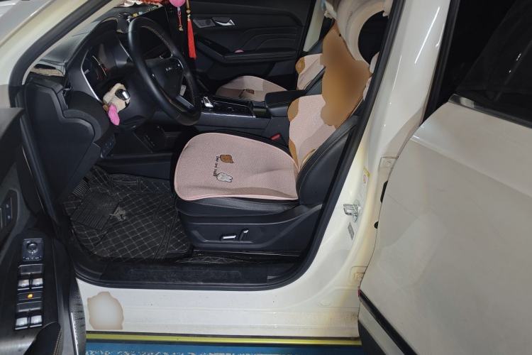 Used Haval LHERY 2022 Jingxiang Edition 1.5T Copper Rabbit Left Front Seat