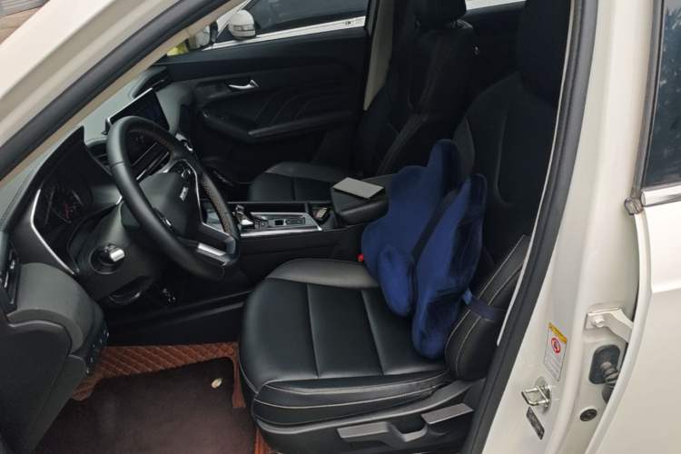 Used Haval LHERY 2022 Jingxiang Edition 1.5T Brass Rabbit Left Front Seat