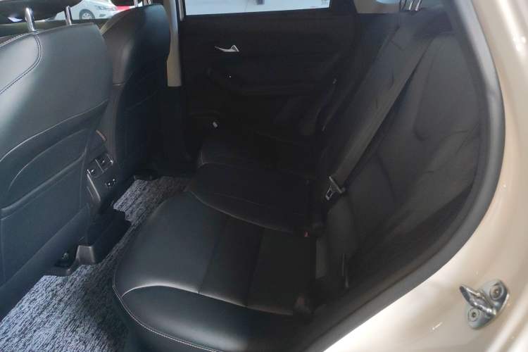 Used Haval LHERY 2022 Jingxiang Edition 1.5T Copper Rabbit Left Rear Seat