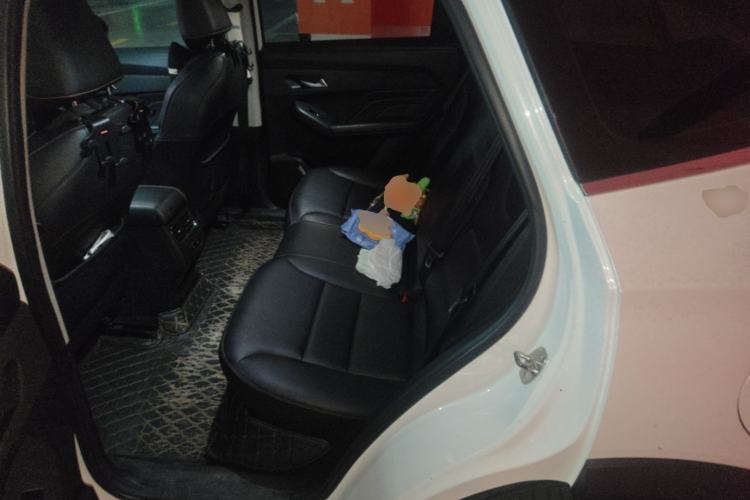 Used Haval LHERY 2022 Jingxiang Edition 1.5T Copper Rabbit Left Rear Seat