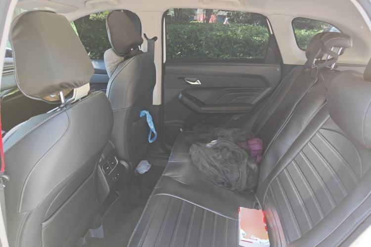 Used Haval LHERY 2022 Jingxiang Edition 1.5T Copper Rabbit Left Rear Seat