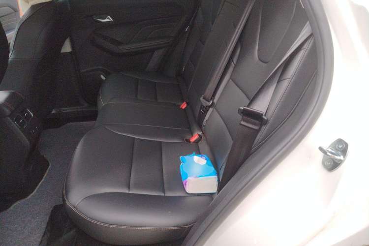 Used Haval LHERY 2022 Jingxiang Edition 1.5T Copper Rabbit Left Rear Seat