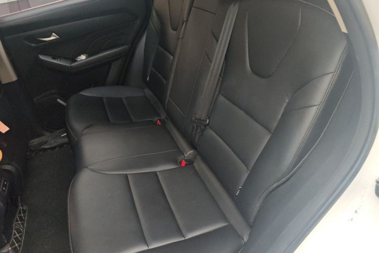 Used Haval LHERY 2022 Jingxiang Edition 1.5T Copper Rabbit Left Rear Seat