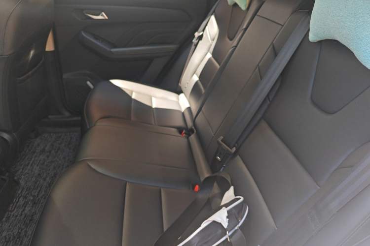 Used Haval LHERY 2022 Jingxiang Edition 1.5T Copper Rabbit Left Rear Seat
