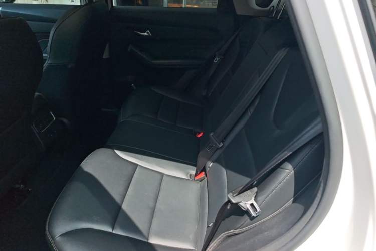 Used Haval LHERY 2022 Jingxiang Edition 1.5T Copper Rabbit Left Rear Seat