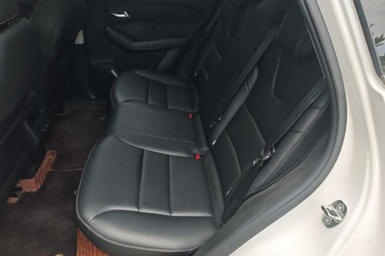 Used Haval LHERY 2022 Jingxiang Edition 1.5T Brass Rabbit Left Rear Seat