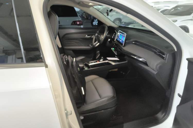Used Haval LHERY 2022 Jingxiang Edition 1.5T Copper Rabbit Right Front Seat