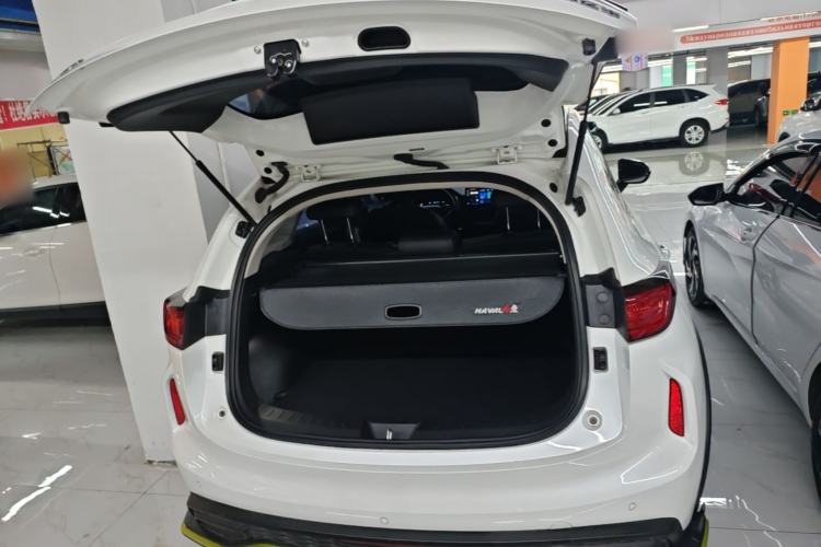 Used Haval LHERY 2022 Jingxiang Edition 1.5T Copper Rabbit Trunk