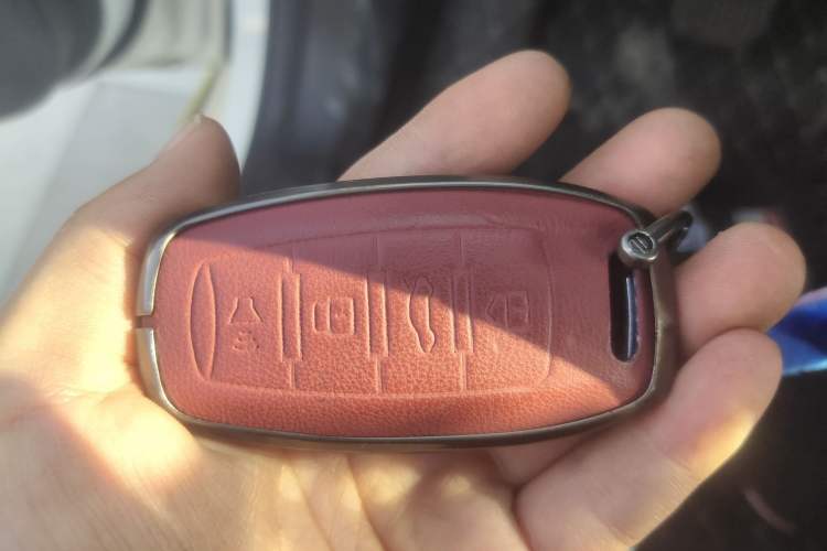 Used Haval LHERY 2022 Jingxiang Edition 1.5T Copper Rabbit Vehicle Key
