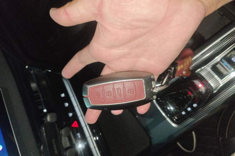 Used Haval LHERY 2022 Jingxiang Edition 1.5T Copper Rabbit Vehicle Key