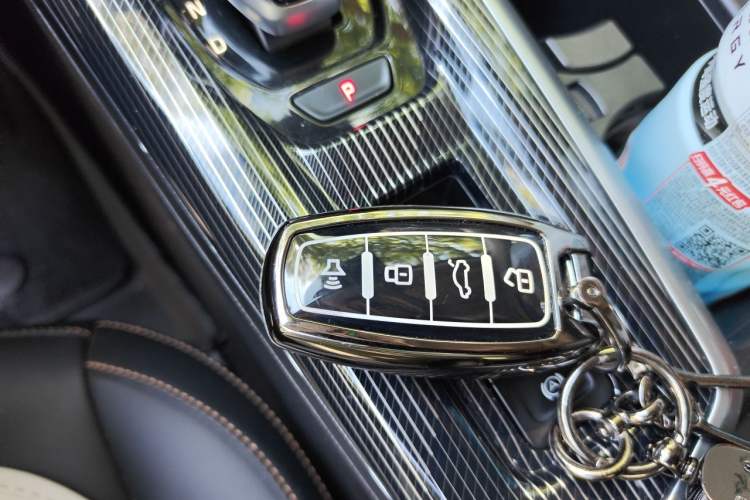 Used Haval LHERY 2022 Jingxiang Edition 1.5T Copper Rabbit Vehicle Key