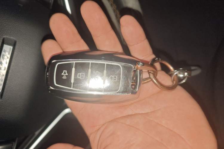 Used Haval LHERY 2022 Jingxiang Edition 1.5T Copper Rabbit Vehicle Key