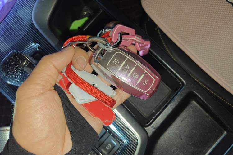 Used Haval LHERY 2022 Jingxiang Edition 1.5T Copper Rabbit Vehicle Key
