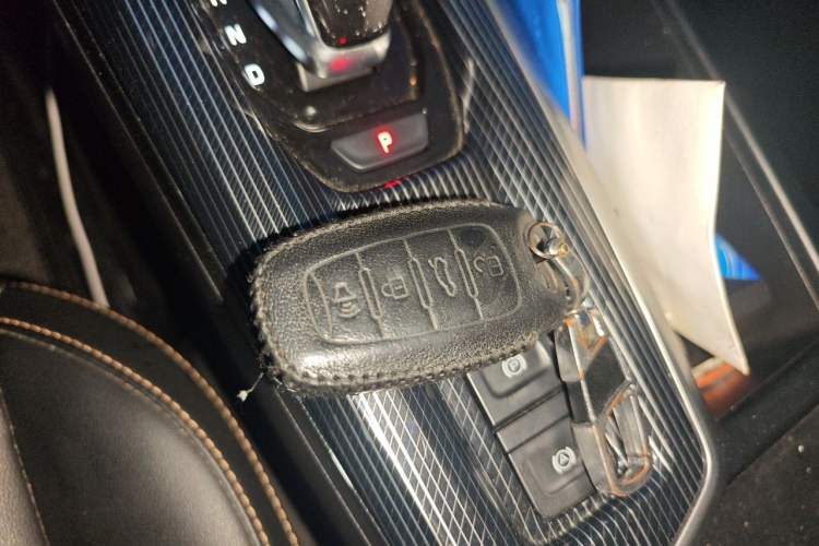 Used Haval LHERY 2022 Jingxiang Edition 1.5T Copper Rabbit Vehicle Key