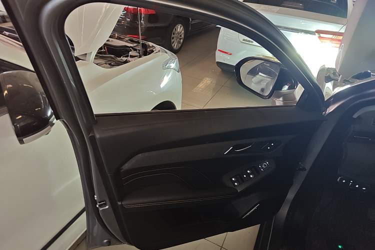 Used Haval LHERY 2023 1.5T Excellence Edition Left Front Door Interior