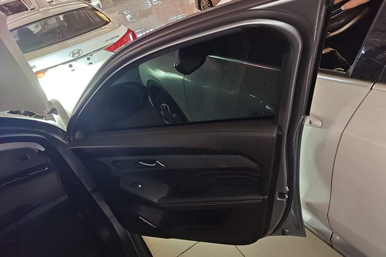 Used Haval LHERY 2023 1.5T Excellence Edition Right Front Door Interior