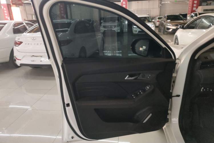 Used Haval LHERY 2023 1.5T Excellence Edition Left Front Door Interior