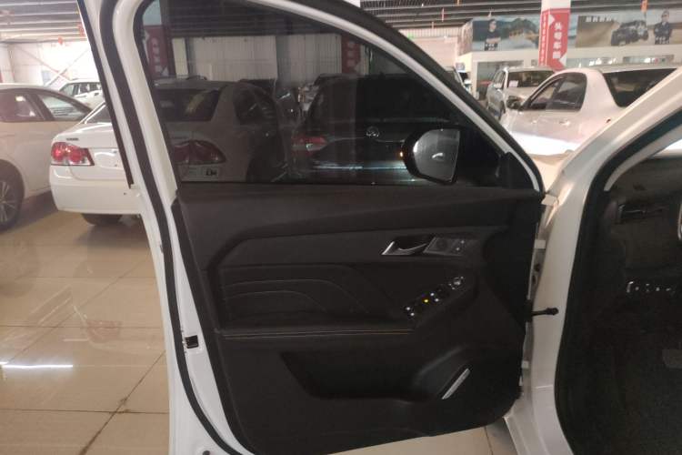 Used Haval LHERY 2023 1.5T Excellence Edition Left Front Door Interior