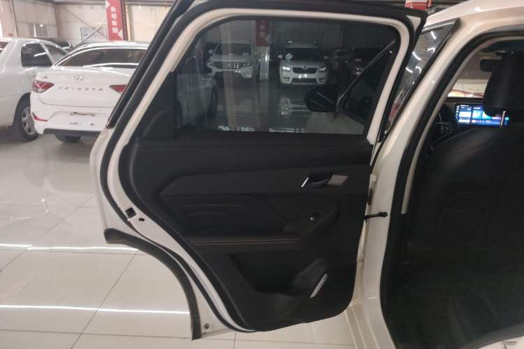 Used Haval LHERY 2023 1.5T Excellence Edition Left Rear Door Interior