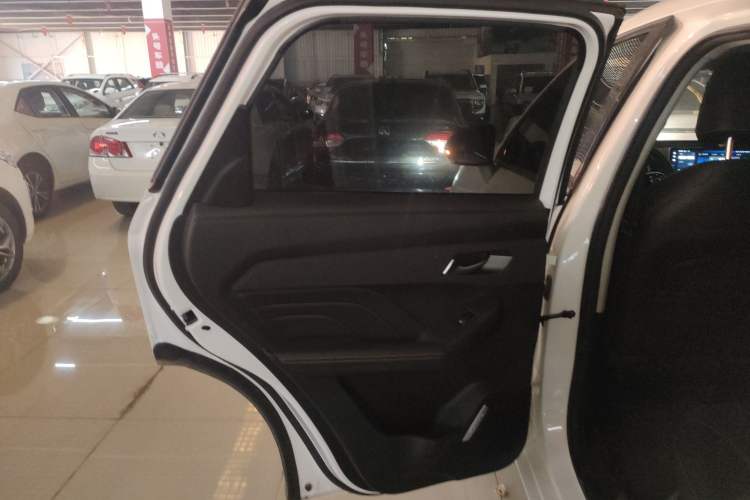 Used Haval LHERY 2023 1.5T Excellence Edition Left Rear Door Interior