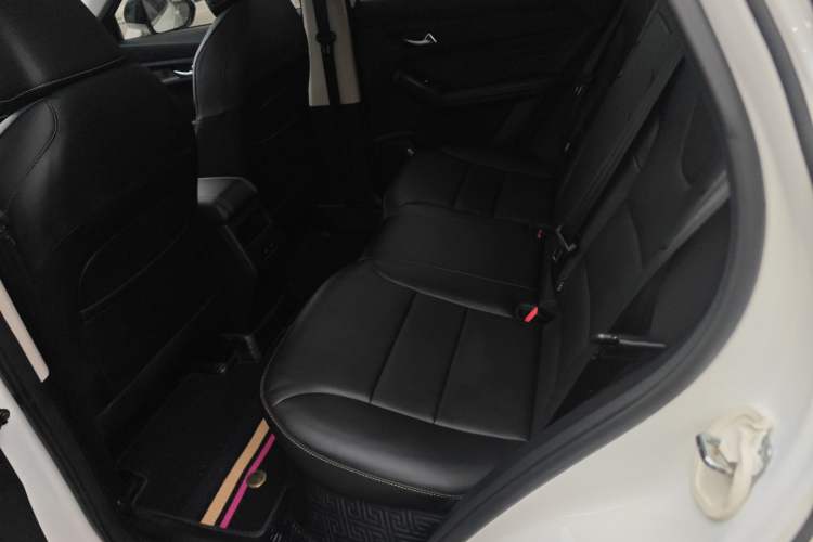 Used Haval LHERY 2023 1.5T Excellence Edition Left Rear Seat