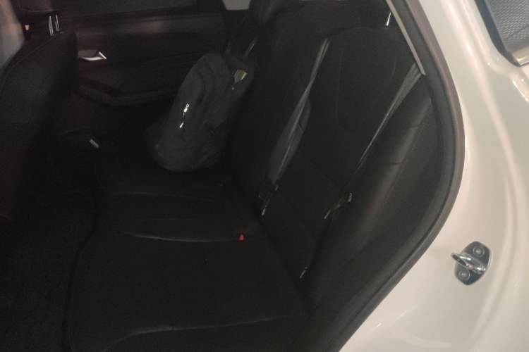 Used Haval LHERY 2023 1.5T Excellence Edition Left Rear Seat