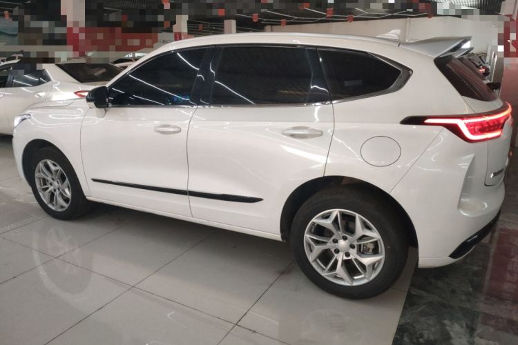 Used Haval LHERY 2023 1.5T Excellence Edition Left Side