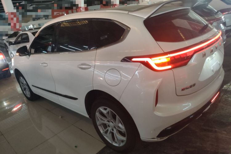 Used Haval LHERY 2023 1.5T Excellence Edition Left Side