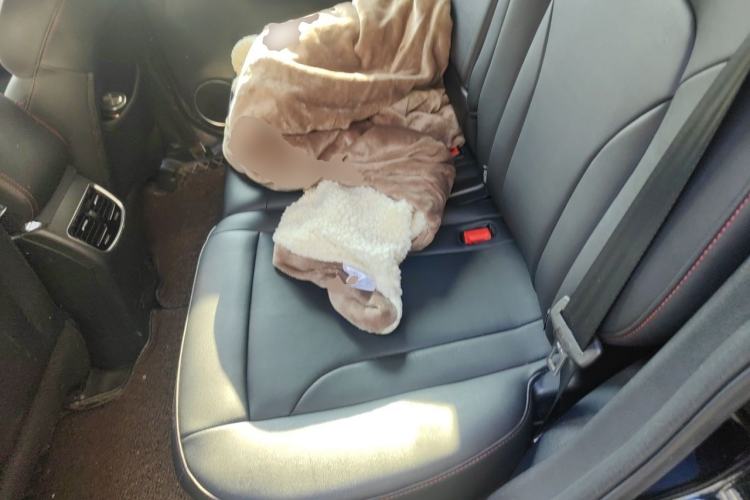 Used Haval M6 2018 1.5T DCT Two-Wheel Drive Elite Model Left Rear Seat