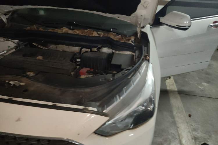 Used Haval M6 2018 1.5T Manual Two-Wheel Drive Elite Model Engine Bay Left
