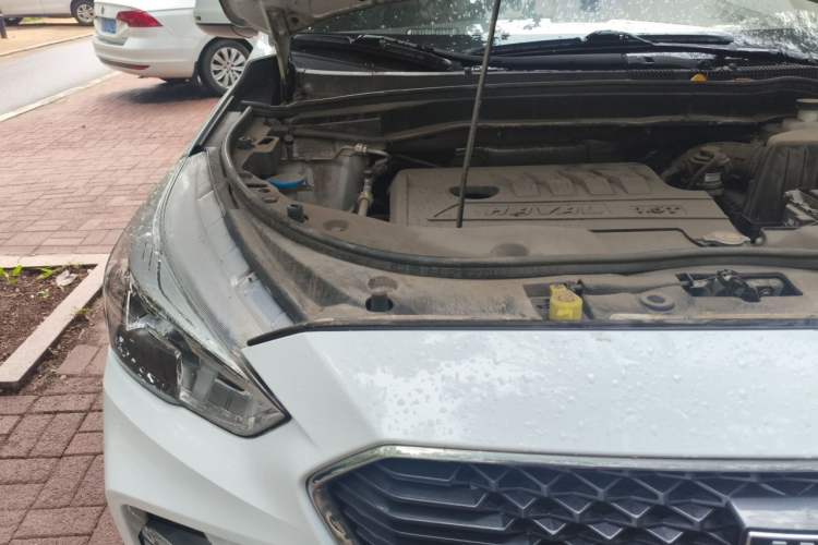 Used Haval M6 2018 Revised Version 1.5T DCT Two-Wheel Drive Elite Edition Engine Bay Right