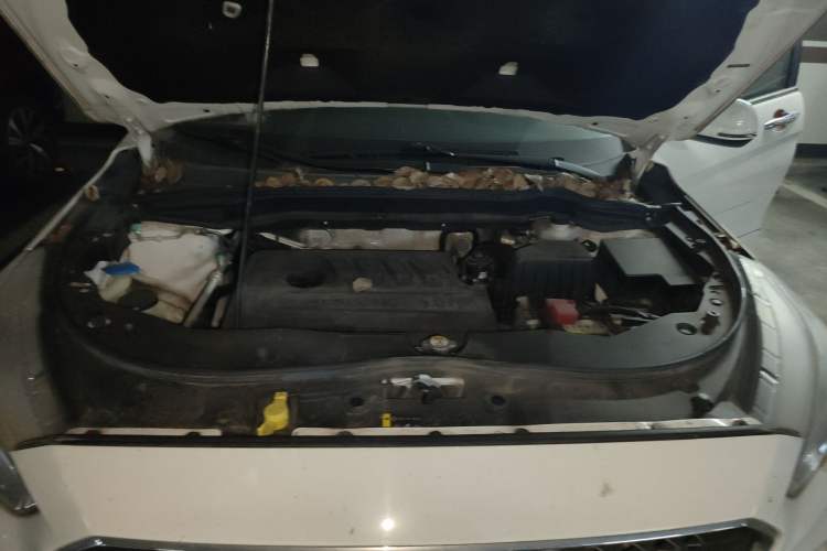 Used Haval M6 2018 1.5T Manual Two-Wheel Drive Elite Model Engine Bay