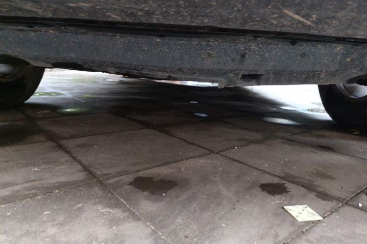Used Haval M6 2019 1.5T DCT Two-Wheel Drive Elite Version China V Standard Chassis Front