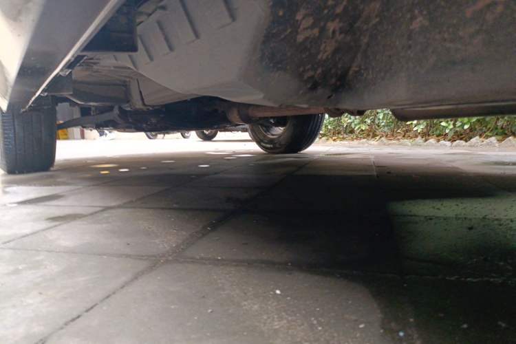 Used Haval M6 2019 1.5T DCT Two-Wheel Drive Elite Version China V Standard Chassis Rear Left