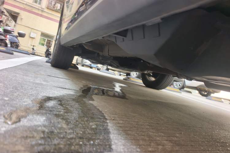 Used Haval M6 2019 1.5T Manual Two-Wheel Drive Elite Version China VI Standard Chassis Rear Left