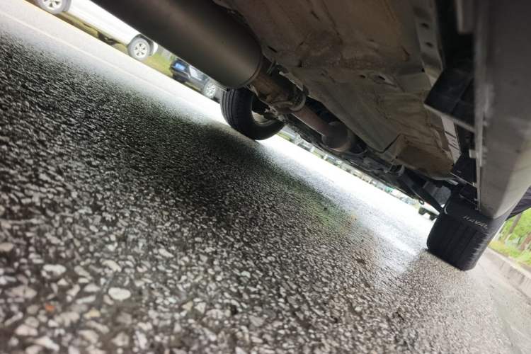 Used Haval M6 2019 1.5T Manual Two-Wheel Drive Elite Version China VI Standard Chassis Rear Right