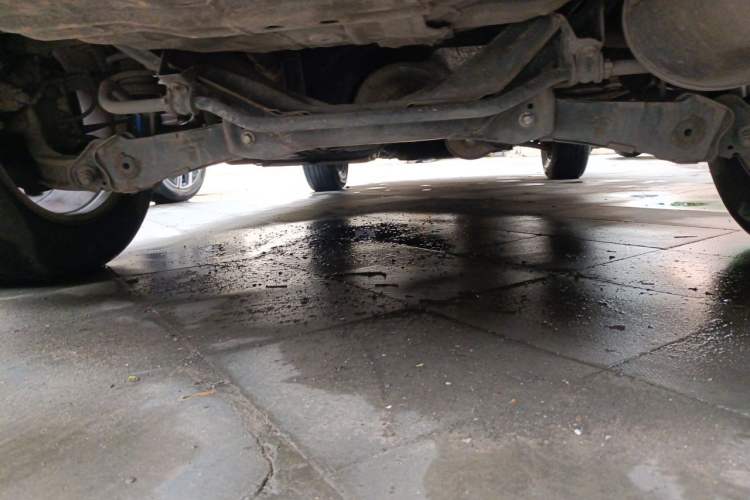 Used Haval M6 2019 1.5T DCT Two-Wheel Drive Elite Version China V Standard Chassis Rear