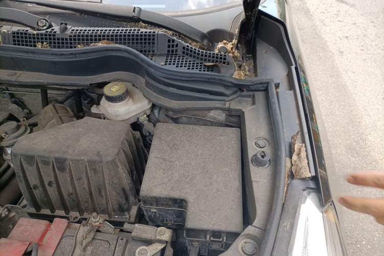Used Haval M6 2019 1.5T Manual Two-Wheel Drive Elite Version China V Standard Engine Bay Left