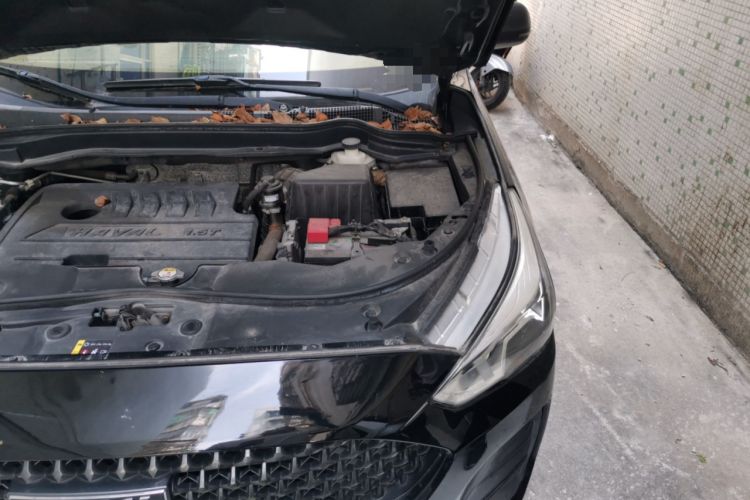 Used Haval M6 2019 1.5T DCT Two-Wheel Drive Elite Version China V Standard Engine Bay Left