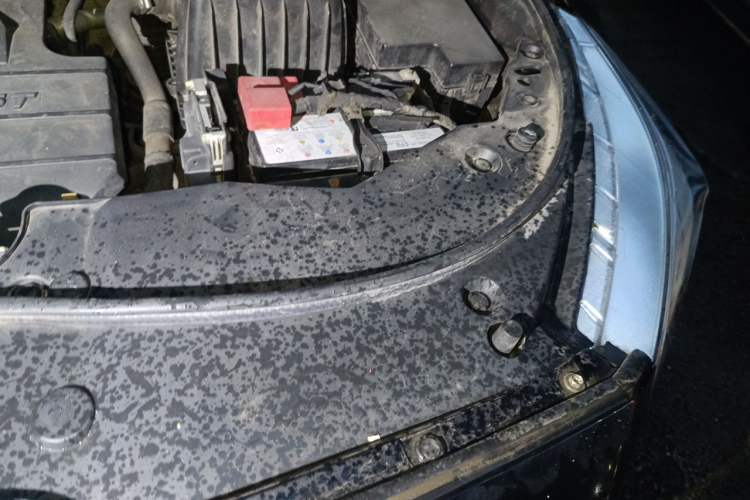 Used Haval M6 2019 1.5T DCT Two-Wheel Drive Elite Version China VI Standard Engine Bay Left