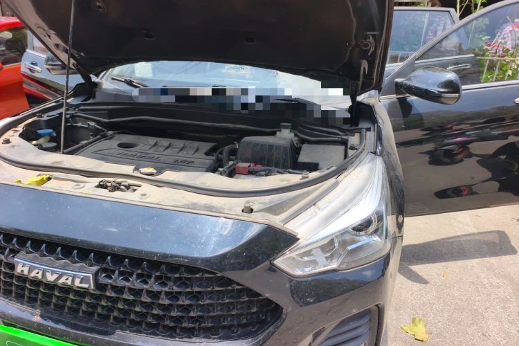 Used Haval M6 2019 1.5T Manual Two-Wheel Drive Elite Version China VI Standard Engine Bay Left