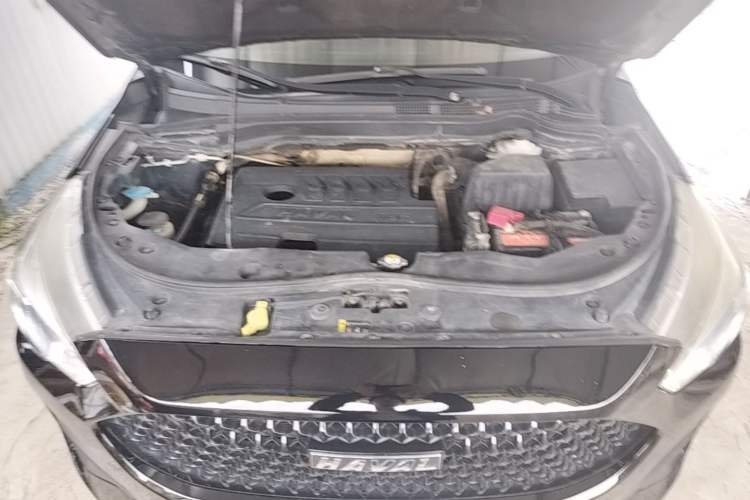 Used Haval M6 2019 1.5T DCT Two-Wheel Drive Elite Version China VI Standard Engine Bay