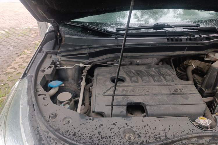 Used Haval M6 2019 1.5T Manual Two-Wheel Drive Elite Version China VI Standard Engine Bay Right