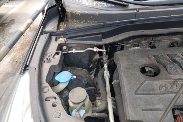 Used Haval M6 2019 1.5T Manual Two-Wheel Drive Elite Version China V Standard Engine Bay Right