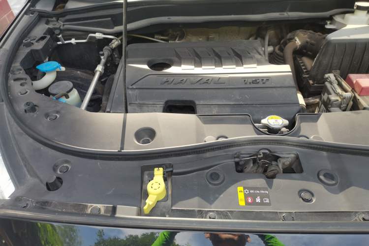Used Haval M6 2019 1.5T Manual Two-Wheel Drive Elite Version China VI Standard Engine Bay Right