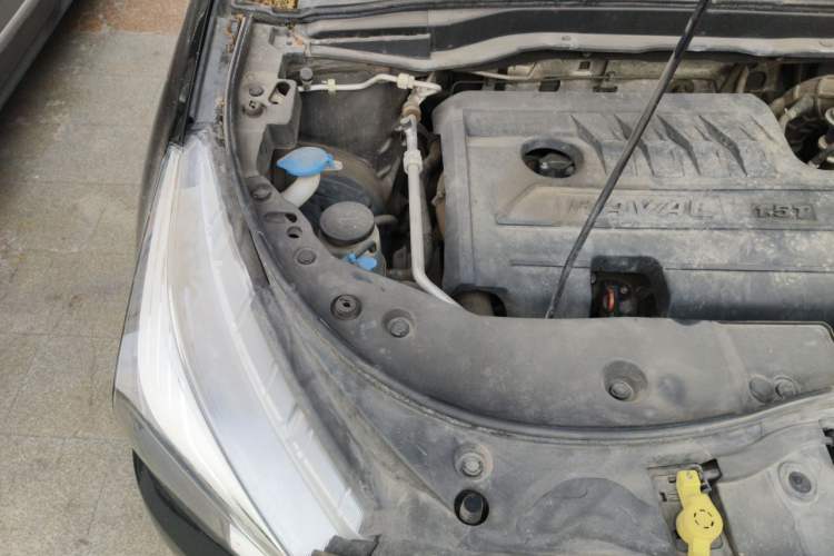 Used Haval M6 2019 1.5T DCT Two-Wheel Drive Elite Version China V Standard Engine Bay Right