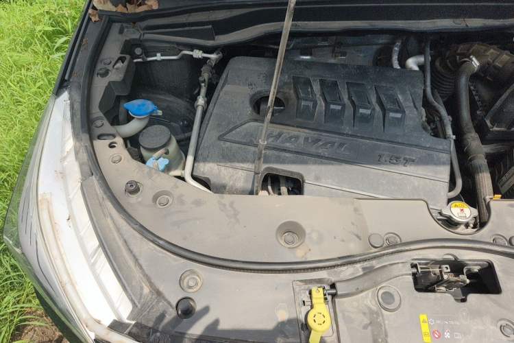 Used Haval M6 2019 1.5T Manual Two-Wheel Drive Elite Version China VI Standard Engine Bay Right