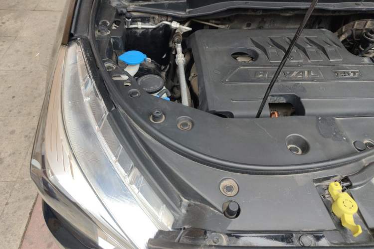 Used Haval M6 2019 1.5T DCT Two-Wheel Drive Elite Version China V Standard Engine Bay Right