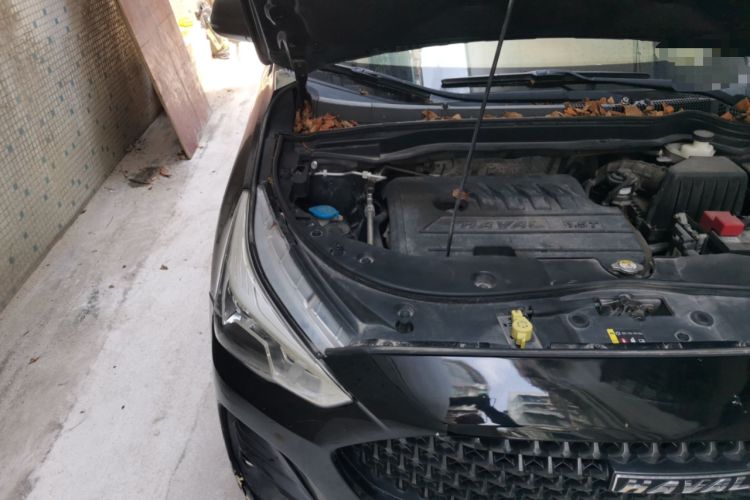 Used Haval M6 2019 1.5T DCT Two-Wheel Drive Elite Version China V Standard Engine Bay Right