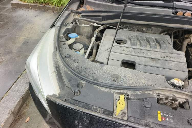 Used Haval M6 2019 1.5T Manual Two-Wheel Drive Elite Version China VI Standard Engine Bay Right